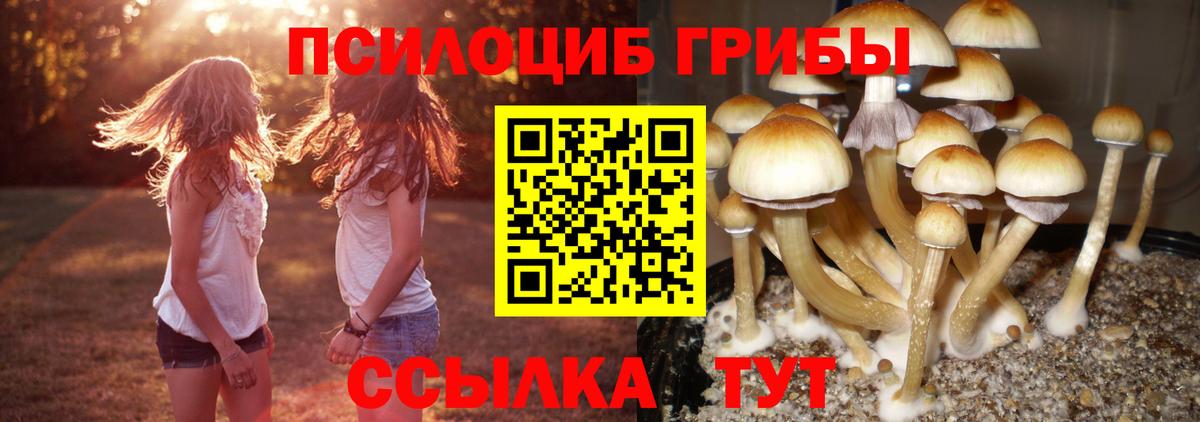 Псилоцибиновые грибы MAGIC MUSHROOMS Белгород
