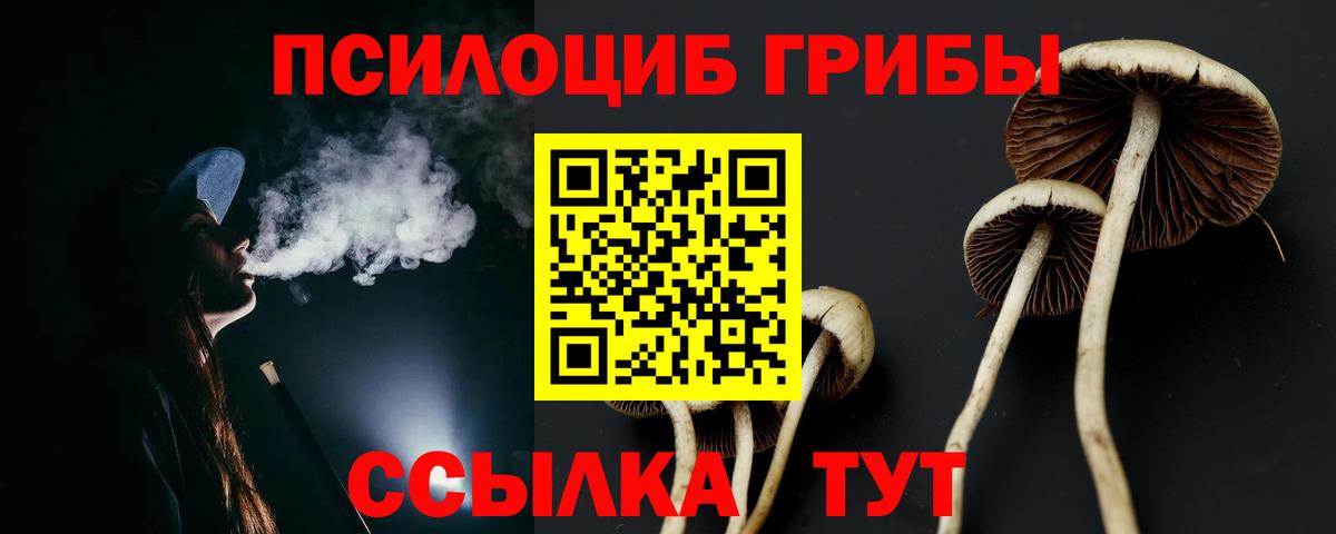 Белгород  Галлюциногенные грибы мицелий  Вход с VPN 