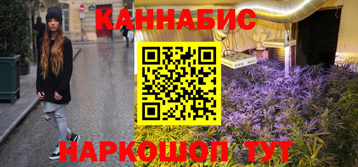 Канабис OG Kush Белгород